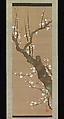 Bush Warbler (Uguisu) in a Plum Tree, Sakai Hōitsu (Japanese, 1761–1828), Hanging scroll; ink, color and gold on silk, Japan