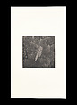 Odes, Taca Sui (Chinese, born 1984), 108 silver gelatin prints mounted in 9 albums, China