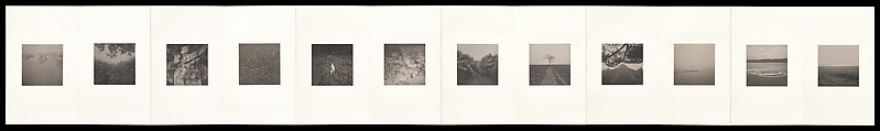 Odes, Taca Sui (Chinese, born 1984), 108 silver gelatin prints mounted in 9 albums, China