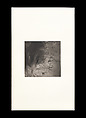 Odes, Taca Sui (Chinese, born 1984), 108 silver gelatin prints mounted in 9 albums, China