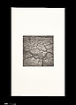 Odes, Taca Sui (Chinese, born 1984), 108 silver gelatin prints mounted in 9 albums, China