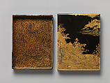 Box for Books with Waterfall, Lacquered wood with gold and silver takamaki-e, hiramaki-e, cut-out gold and silver foil application and silver inlay on black lacquer ground, Japan