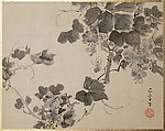 Flowers and Birds, Taki Katei (Japanese, 1830–1901), Album of twelve leaves; ink and color on silk, Japan