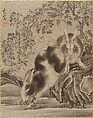 Rabbits, Kawanabe Kyōsai 河鍋暁斎  Japanese, Album leaf; ink and color on silk, Japan