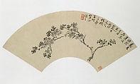 Apricot, Wu Xizai  Chinese, Folding fan mounted as an album leaf; ink and color on alum paper, China