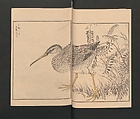 Picture Album of Various Birds (Shūchō gafu)  聚鳥畫譜, Numata Kashū 沼田荷舟 (Japanese, 1838–1901), Polychrome woodblock printed book; ink and color on paper, Japan