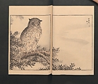 Picture Album of Various Birds (Shūchō gafu)  聚鳥畫譜, Numata Kashū 沼田荷舟 (Japanese, 1838–1901), Polychrome woodblock printed book; ink and color on paper, Japan