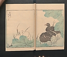 Picture Album of Various Birds (Shūchō gafu)  聚鳥畫譜, Numata Kashū 沼田荷舟 (Japanese, 1838–1901), Polychrome woodblock printed book; ink and color on paper, Japan