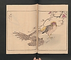 Picture Album of Various Birds (Shūchō gafu)  聚鳥畫譜, Numata Kashū 沼田荷舟 (Japanese, 1838–1901), Polychrome woodblock printed book; ink and color on paper, Japan