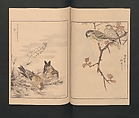 Picture Album of Various Birds (Shūchō gafu)  聚鳥畫譜, Numata Kashū 沼田荷舟 (Japanese, 1838–1901), Polychrome woodblock printed book; ink and color on paper, Japan