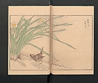 Picture Album of Various Birds (Shūchō gafu)  聚鳥畫譜, Numata Kashū 沼田荷舟 (Japanese, 1838–1901), Polychrome woodblock printed book; ink and color on paper, Japan