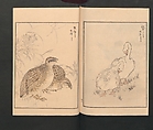 Picture Album of Various Birds (Shūchō gafu)  聚鳥畫譜, Numata Kashū 沼田荷舟 (Japanese, 1838–1901), Polychrome woodblock printed book; ink and color on paper, Japan