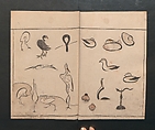 Abbreviated Drawing Styles for Birds and Animals (Chōjū ryakuga shiki) 鳥獣略画式, Kuwagata Keisai 鍬形蕙斎 (Japanese, 1764–1824), Woodblock printed book; ink and color on paper, Japan