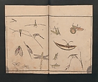 Abbreviated Drawing Styles for Birds and Animals (Chōjū ryakuga shiki) 鳥獣略画式, Kuwagata Keisai 鍬形蕙斎 (Japanese, 1764–1824), Woodblock printed book; ink and color on paper, Japan