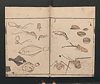Abbreviated Drawing Styles for Birds and Animals (Chōjū ryakuga shiki) 鳥獣略画式, Kuwagata Keisai 鍬形蕙斎 (Japanese, 1764–1824), Woodblock printed book; ink and color on paper, Japan