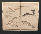 Abbreviated Drawing Styles for Birds and Animals (Chōjū ryakuga shiki) 鳥獣略画式, Kuwagata Keisai 鍬形蕙斎 (Japanese, 1764–1824), Woodblock printed book; ink and color on paper, Japan