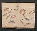 Abbreviated Drawing Styles for Birds and Animals (Chōjū ryakuga shiki) 鳥獣略画式, Kuwagata Keisai 鍬形蕙斎 (Japanese, 1764–1824), Woodblock printed book; ink and color on paper, Japan