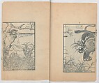 Illustrations of What We Have Seen and Heard at Yokohama, a Newly Opened Port (Yokohama kaikō kenbun(mon)shi 横浜開港見聞誌), Hashimoto Gyokuran, Ink on paper, Japan