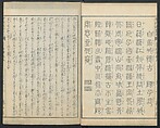 Illustrations of Chinese Poems Chosen from Toshisen's Book (Tōshisen ehon) 唐詩撰畫本, Katsushika Hokusai 葛飾北斎 (Japanese, Tokyo (Edo) 1760–1849 Tokyo (Edo)), Five volumes; ink on paper, Japan