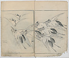 Sonan's Picture Book (Sonan gafu) 楚南画譜, Onishi Chinnen 大西椿年 (Japanese, 1792–1851), Ink on paper, Japan