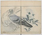 Sonan's Picture Book (Sonan gafu) 楚南画譜, Onishi Chinnen 大西椿年 (Japanese, 1792–1851), Ink on paper, Japan