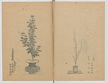 Examples of the Flower Arrangement (Meiji shinsen risshō senkashiki)  明治新撰千花式, Yagi Unkei 八木雲渓, Ink on paper, Japan