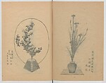 Examples of the Flower Arrangement (Meiji shinsen risshō senkashiki)  明治新撰千花式, Yagi Unkei 八木雲渓, Ink on paper, Japan