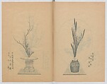 Examples of the Flower Arrangement (Meiji shinsen risshō senkashiki)  明治新撰千花式, Yagi Unkei 八木雲渓, Ink on paper, Japan