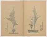 Examples of the Flower Arrangement (Meiji shinsen risshō senkashiki)  明治新撰千花式, Yagi Unkei 八木雲渓, Ink on paper, Japan