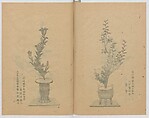 Examples of the Flower Arrangement (Meiji shinsen risshō senkashiki)  明治新撰千花式, Yagi Unkei 八木雲渓, Ink on paper, Japan