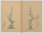 Examples of the Flower Arrangement (Meiji shinsen risshō senkashiki)  明治新撰千花式, Yagi Unkei 八木雲渓, Ink on paper, Japan