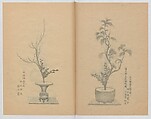 Examples of the Flower Arrangement (Meiji shinsen risshō senkashiki)  明治新撰千花式, Yagi Unkei 八木雲渓, Ink on paper, Japan
