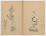 Examples of the Flower Arrangement (Meiji shinsen risshō senkashiki)  明治新撰千花式, Yagi Unkei 八木雲渓, Ink on paper, Japan