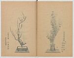 Examples of the Flower Arrangement (Meiji shinsen risshō senkashiki)  明治新撰千花式, Yagi Unkei 八木雲渓, Ink on paper, Japan