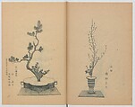 Examples of the Flower Arrangement (Meiji shinsen risshō senkashiki)  明治新撰千花式, Yagi Unkei 八木雲渓, Ink on paper, Japan