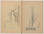 Examples of the Flower Arrangement (Meiji shinsen risshō senkashiki)  明治新撰千花式, Yagi Unkei 八木雲渓, Ink on paper, Japan