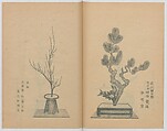 Examples of the Flower Arrangement (Meiji shinsen risshō senkashiki)  明治新撰千花式, Yagi Unkei 八木雲渓, Ink on paper, Japan