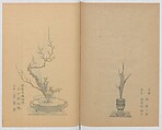 Examples of the Flower Arrangement (Meiji shinsen risshō senkashiki)  明治新撰千花式, Yagi Unkei 八木雲渓, Ink on paper, Japan