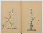 Examples of the Flower Arrangement (Meiji shinsen risshō senkashiki)  明治新撰千花式, Yagi Unkei 八木雲渓, Ink on paper, Japan