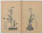 Examples of the Flower Arrangement (Meiji shinsen risshō senkashiki)  明治新撰千花式, Yagi Unkei 八木雲渓, Ink on paper, Japan