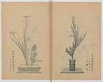 Examples of the Flower Arrangement (Meiji shinsen risshō senkashiki)  明治新撰千花式, Yagi Unkei 八木雲渓, Ink on paper, Japan