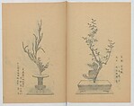 Examples of the Flower Arrangement (Meiji shinsen risshō senkashiki)  明治新撰千花式, Yagi Unkei 八木雲渓, Ink on paper, Japan