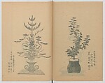 Examples of the Flower Arrangement (Meiji shinsen risshō senkashiki)  明治新撰千花式, Yagi Unkei 八木雲渓, Ink on paper, Japan