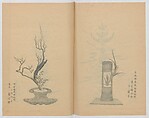Examples of the Flower Arrangement (Meiji shinsen risshō senkashiki)  明治新撰千花式, Yagi Unkei 八木雲渓, Ink on paper, Japan