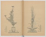 Examples of the Flower Arrangement (Meiji shinsen risshō senkashiki)  明治新撰千花式, Yagi Unkei 八木雲渓, Ink on paper, Japan