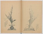 Examples of the Flower Arrangement (Meiji shinsen risshō senkashiki)  明治新撰千花式, Yagi Unkei 八木雲渓, Ink on paper, Japan