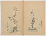 Examples of the Flower Arrangement (Meiji shinsen risshō senkashiki)  明治新撰千花式, Yagi Unkei 八木雲渓, Ink on paper, Japan