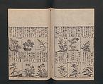 Illustrated Encyclopedia of China (Morokoshi kinmō zui) 唐土訓蒙図彙, Tachibana Morikuni 橘守国 (Japanese, 1679–1748), Set of two woodblock printed books; ink on paper, Japan