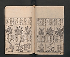 Illustrated Encyclopedia of China (Morokoshi kinmō zui) 唐土訓蒙図彙, Tachibana Morikuni 橘守国 (Japanese, 1679–1748), Set of two woodblock printed books; ink on paper, Japan