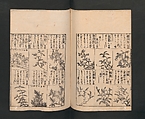 Illustrated Encyclopedia of China (Morokoshi kinmō zui) 唐土訓蒙図彙, Tachibana Morikuni 橘守国 (Japanese, 1679–1748), Set of two woodblock printed books; ink on paper, Japan